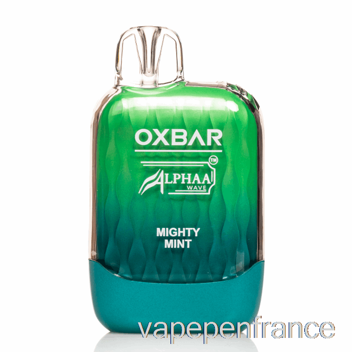 Stylo Vape Jetable à La Menthe Puissante Oxbar G8000